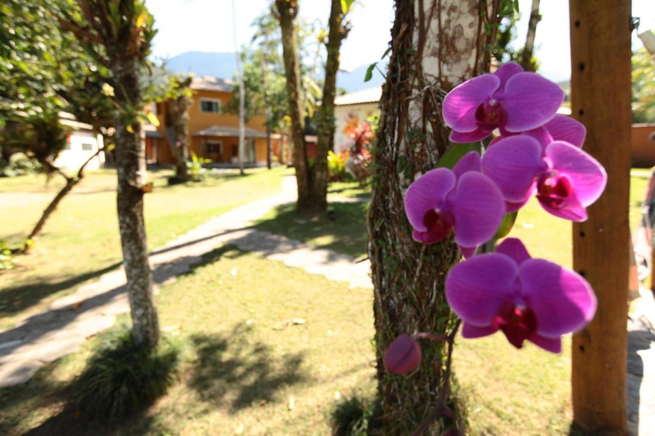 Orquideas20 Estalagem Guapimirim